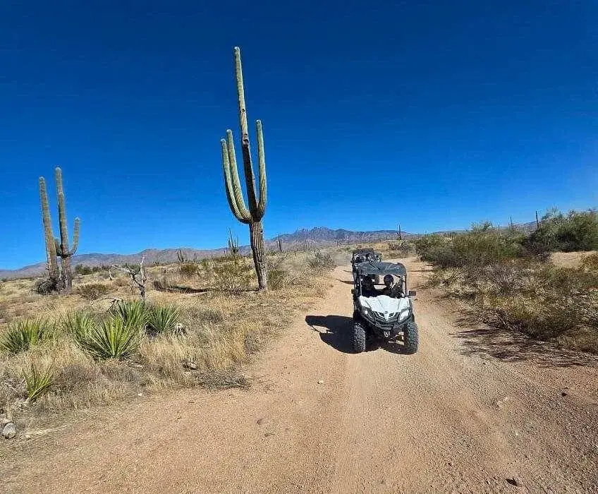 Desert Dog Polaris RZR fleet ready for the trail