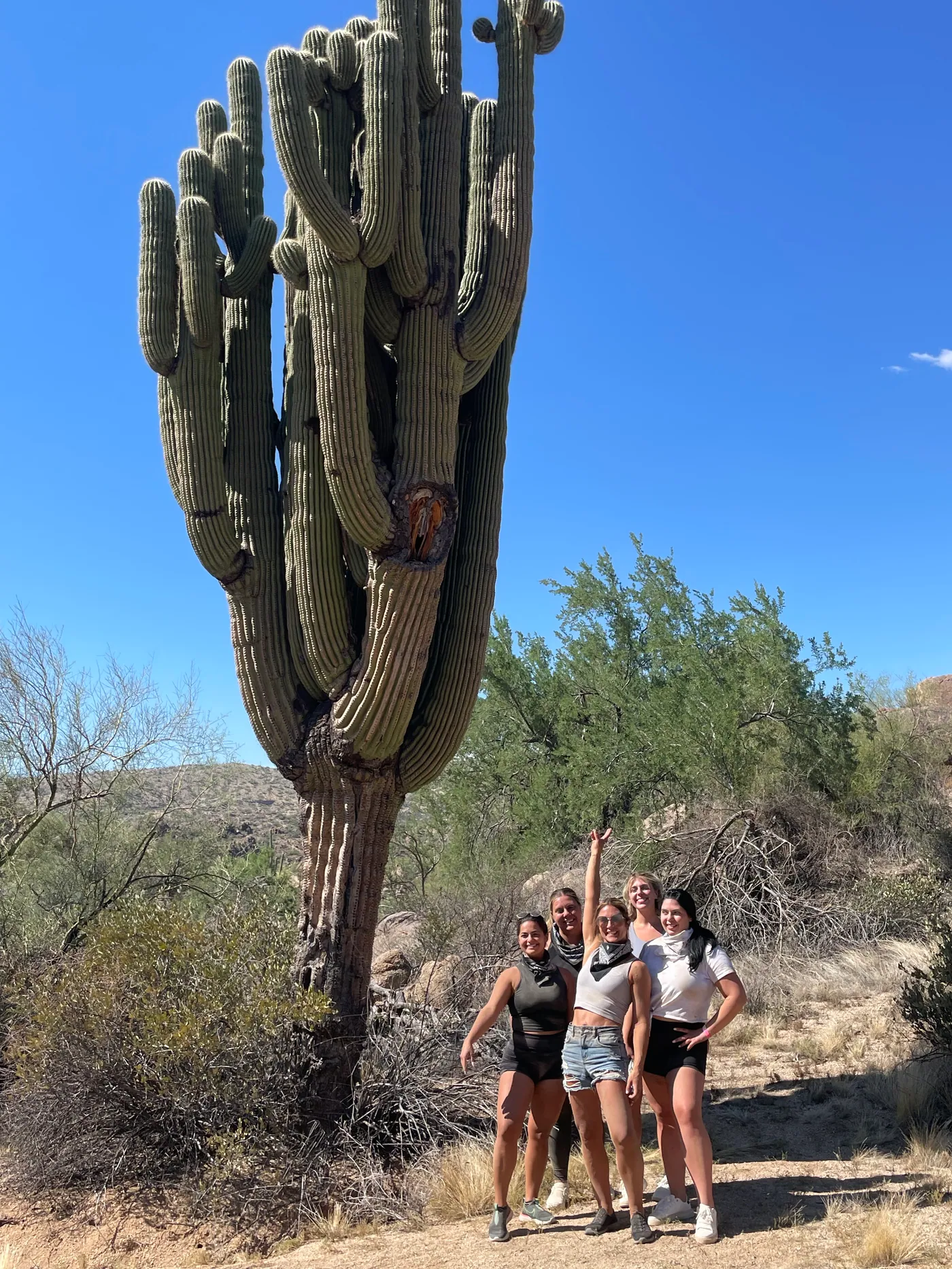 A bachelorette group posing under a giant saguaro cactus near Scottsdale
