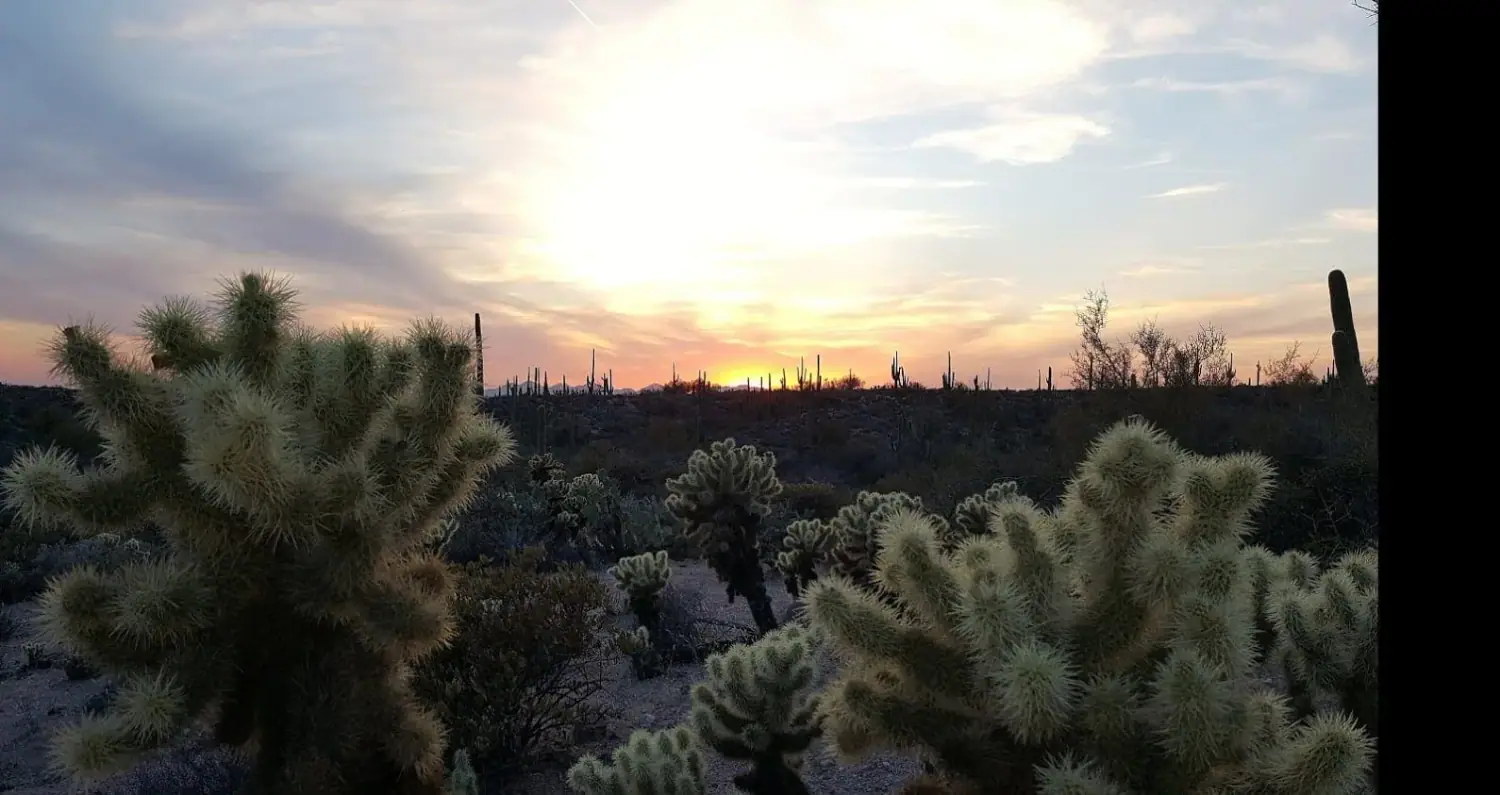 The Sonoran Desert near the Butcher Jones staging area