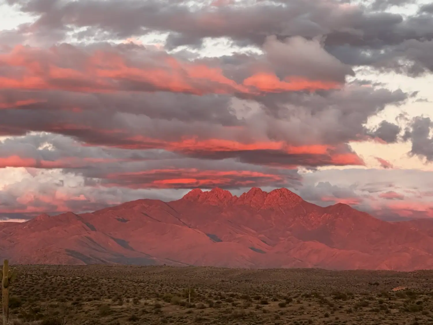 The Sonoran Desert and Four Peaks near Scottsdale
