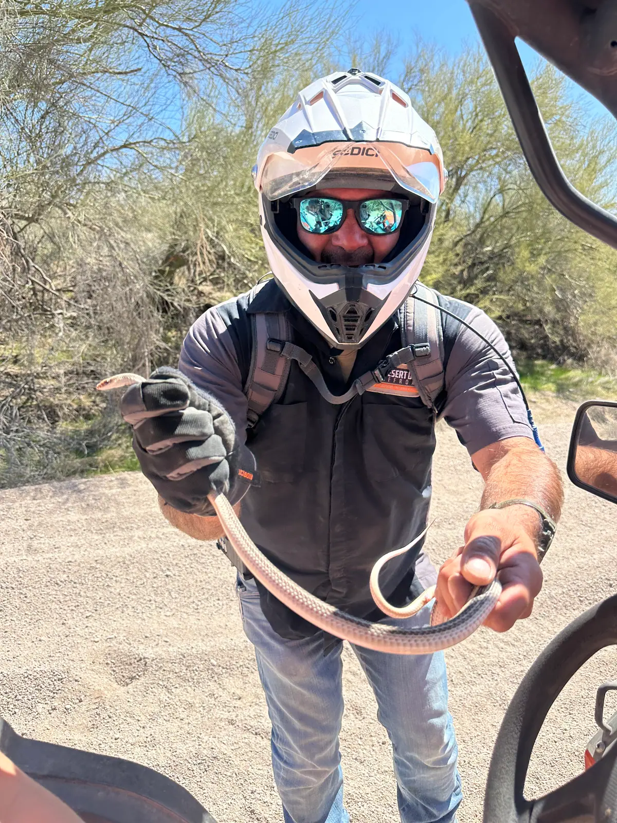 A Desert Dog guide holding a desert snake on a Sonoran Desert tour