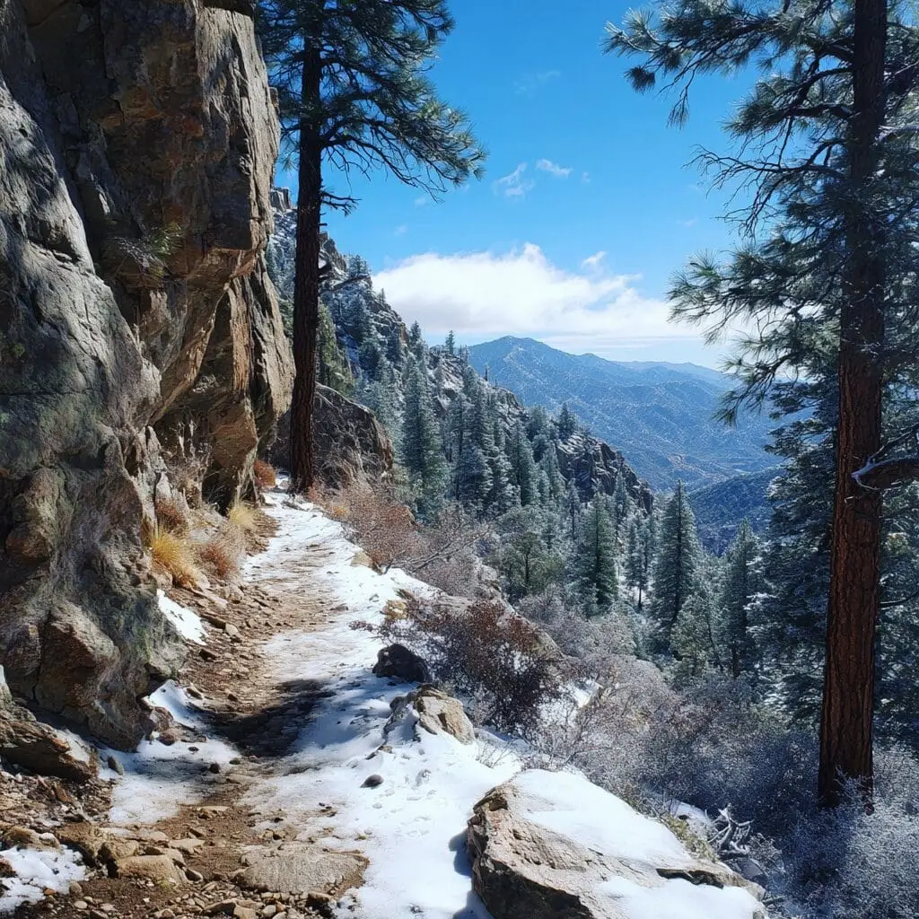 Mount Lemmon near Tucson