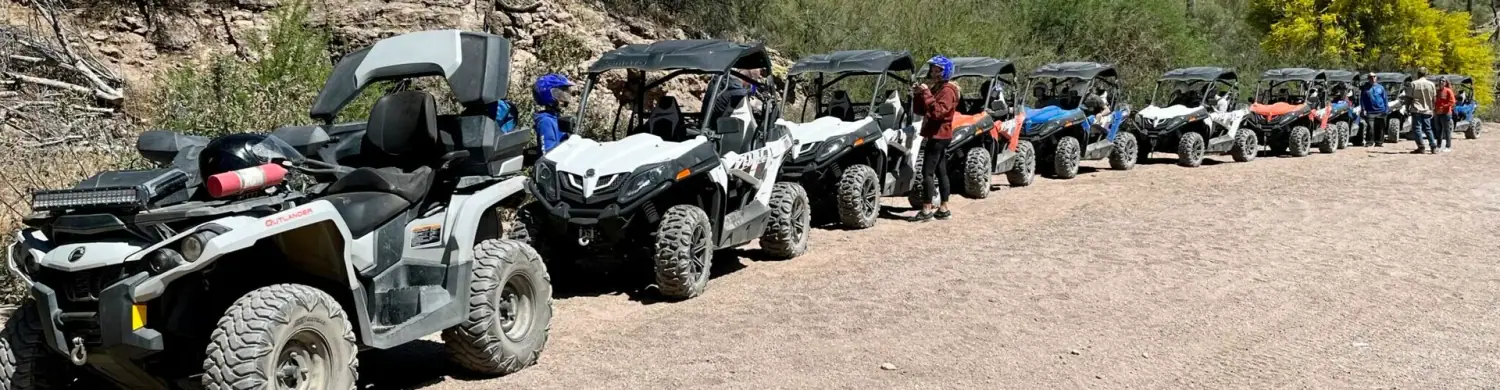 Line of ATV sand buggies parked in the Sonoran Desert