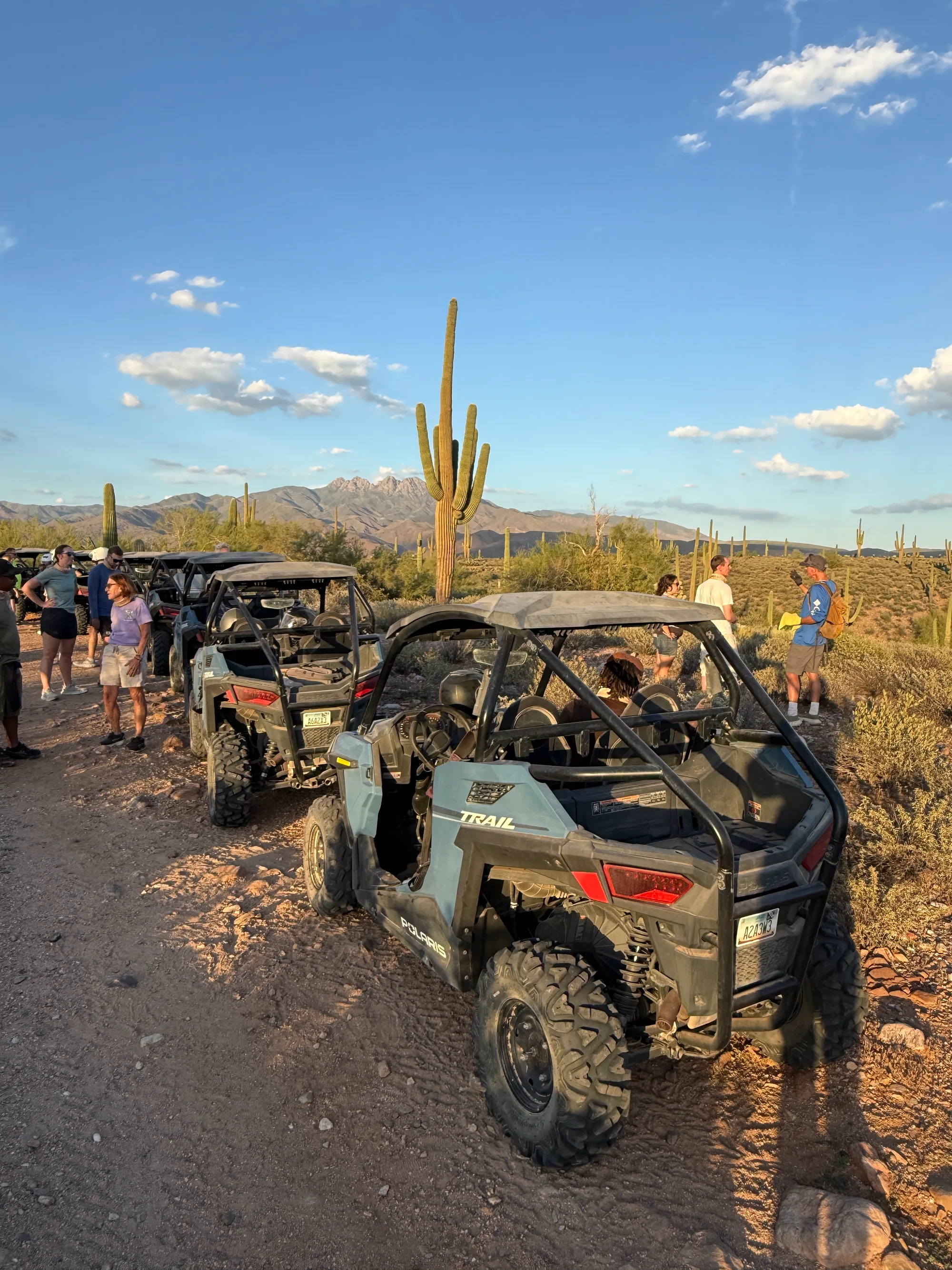 A lineup of Desert Dog Offroad Adventures Polaris RZR Trails beside a tall saguaro with the Four Peaks behind at golden hour