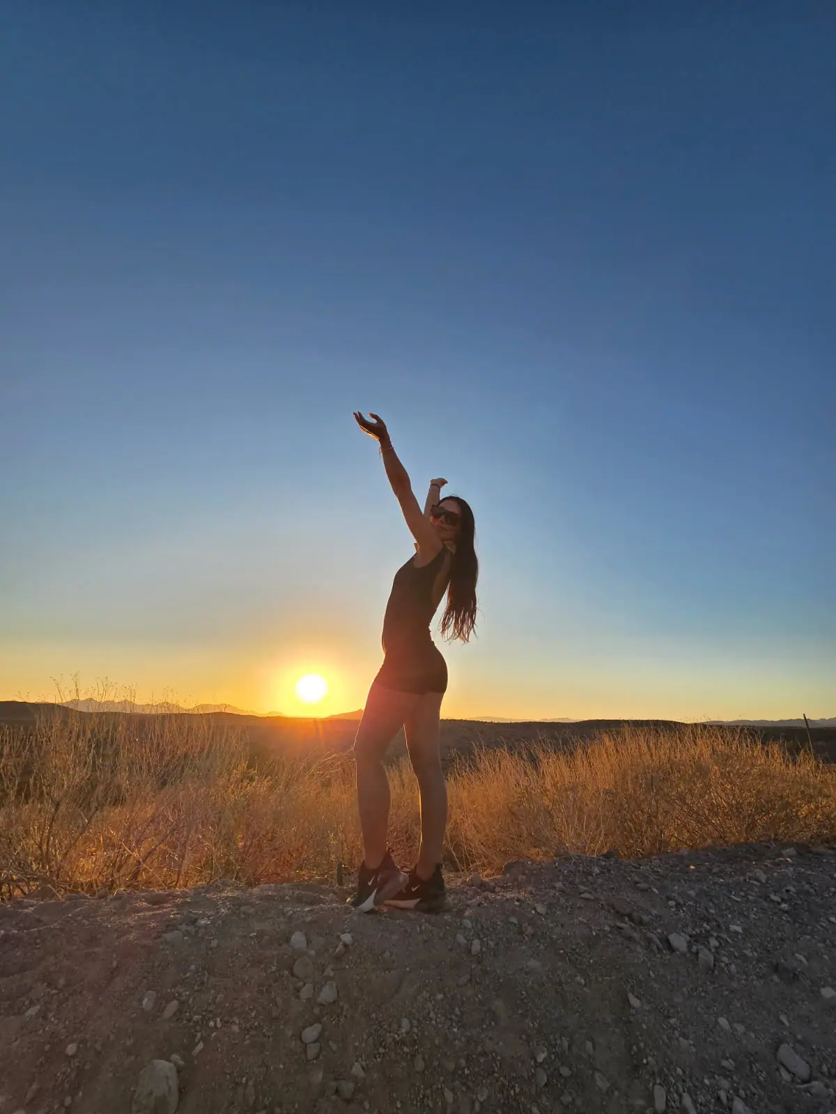 A rider silhouetted with arm raised at a Sonoran Desert sunset