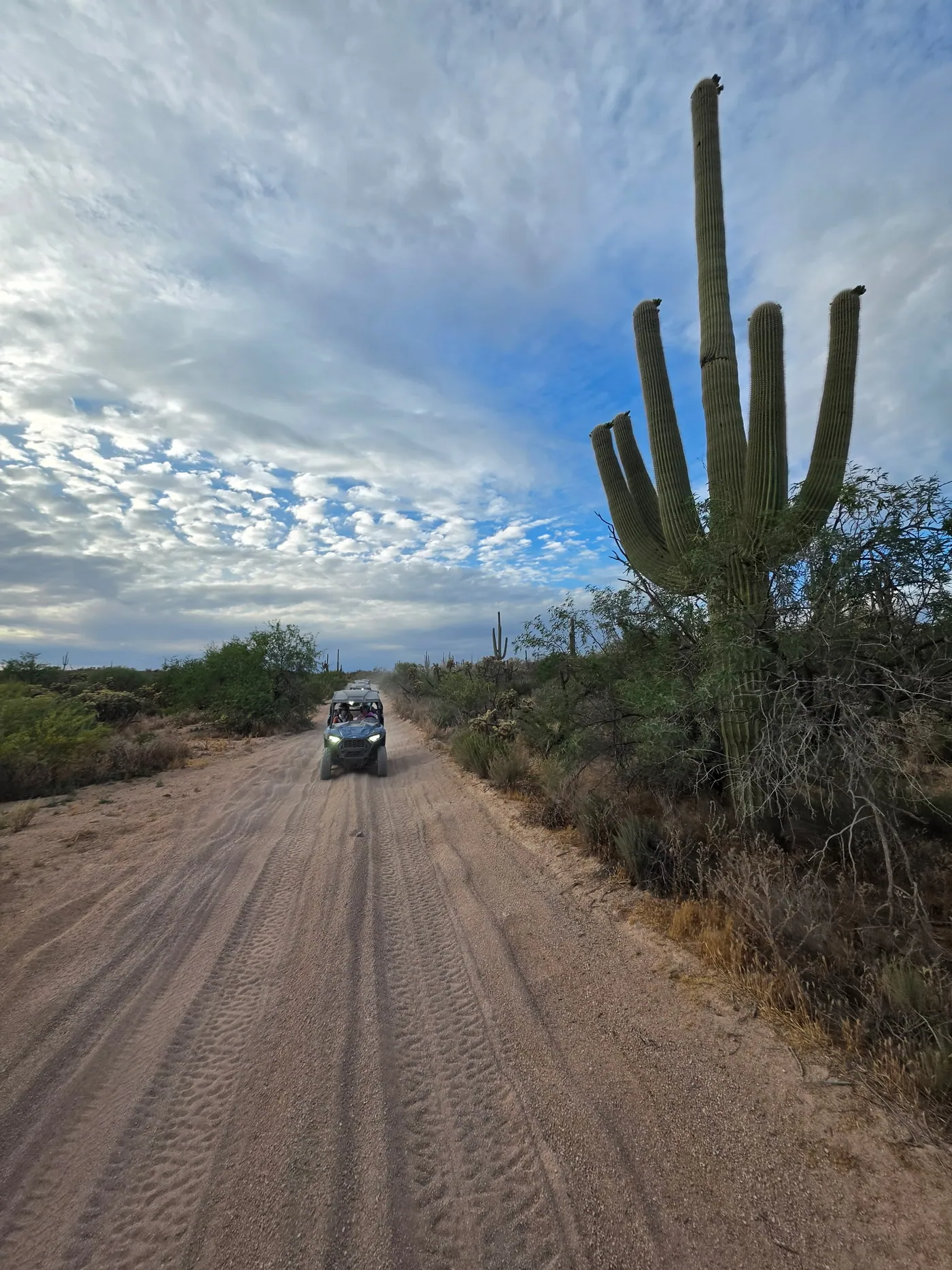 A sand buggy driving a desert trail beneath a dramatic sky and saguaros near Scottsdale