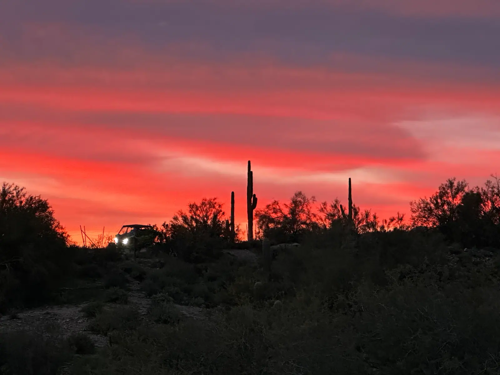 A vivid red sunset behind saguaro silhouettes in the Sonoran Desert